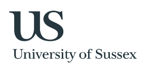 IE University